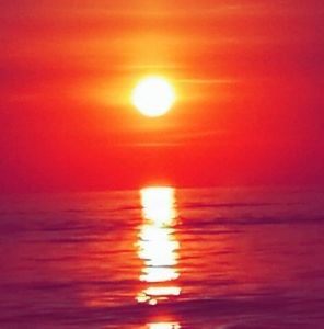 Meet your Posher, Mike